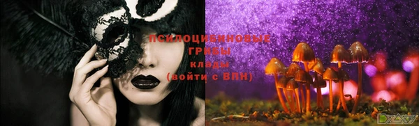 первитин Новодвинск