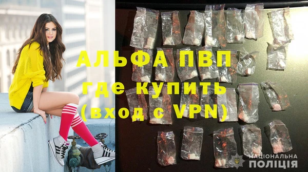 трава Новозыбков