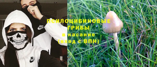 трава Новозыбков