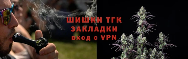 первитин Новодвинск