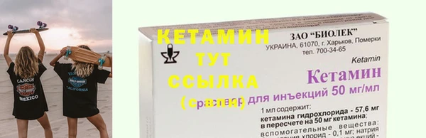 трава Новозыбков