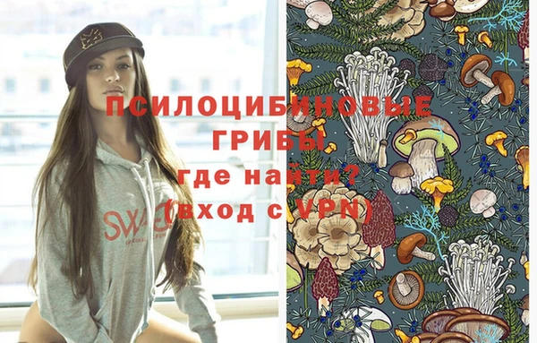 трава Новозыбков