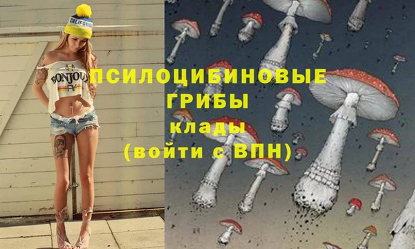 трава Новозыбков