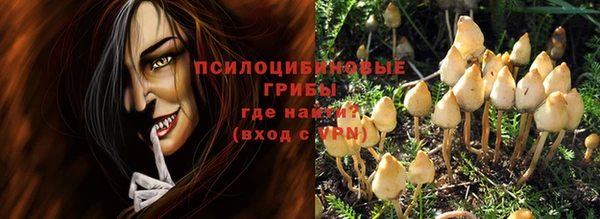 первитин Новодвинск