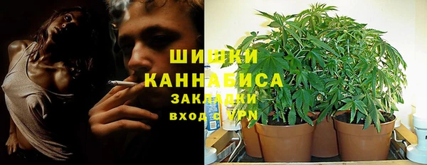 первитин Новодвинск