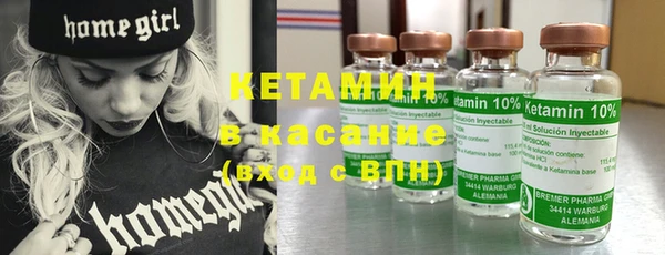 трава Новозыбков