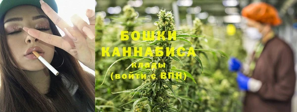 трава Новозыбков