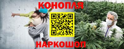 стаф Сланцы