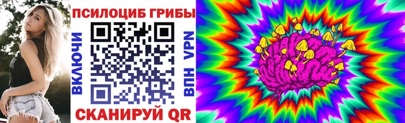 Галлюциногенные грибы MAGIC MUSHROOMS  darknet телеграм  Чита 