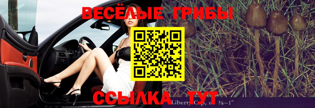 где можно купить наркотик  Псилоцибиновые грибы Magic Shrooms  Вход с VPN  Галлюциногенные грибы Magic Shrooms  Чита 